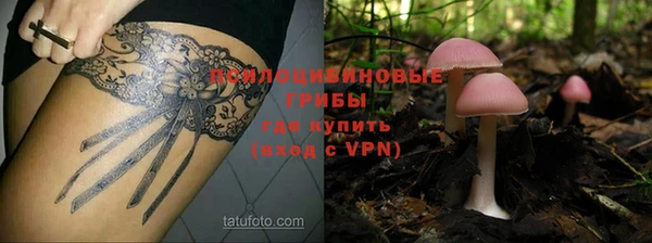 индика Гусев
