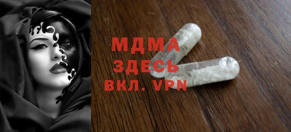 индика Гусев