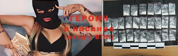 индика Гусев