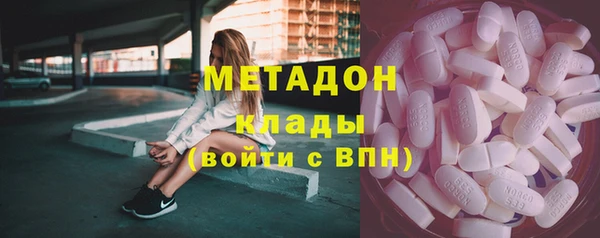 индика Гусев