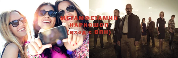 индика Гусев