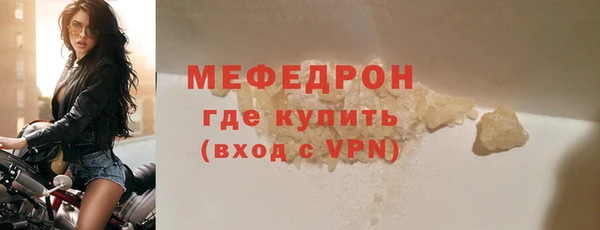 индика Гусев