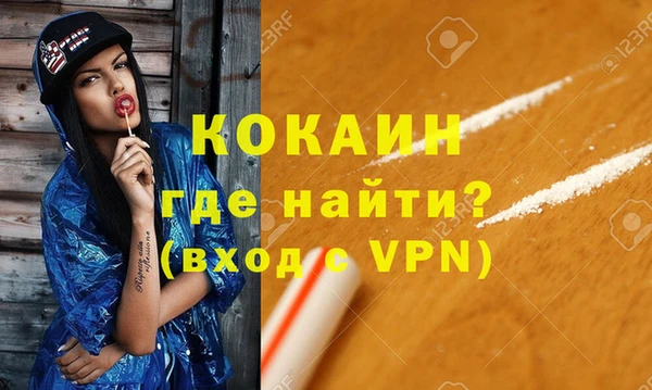 индика Гусев
