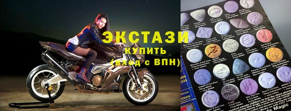 индика Гусев