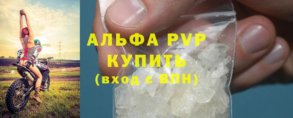 индика Гусев