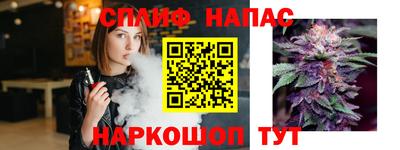 шишки Абакан