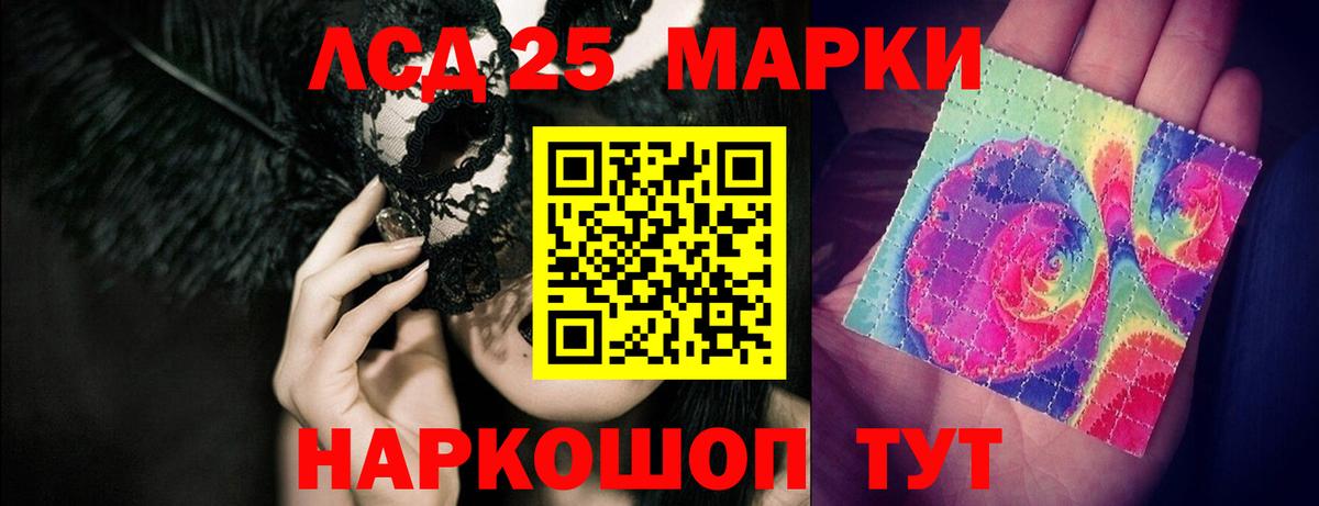 Псилоцибиновые грибы Десногорск