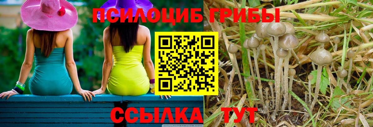 Десногорск  Псилоцибиновые грибы MAGIC MUSHROOMS  Вход с VPN 