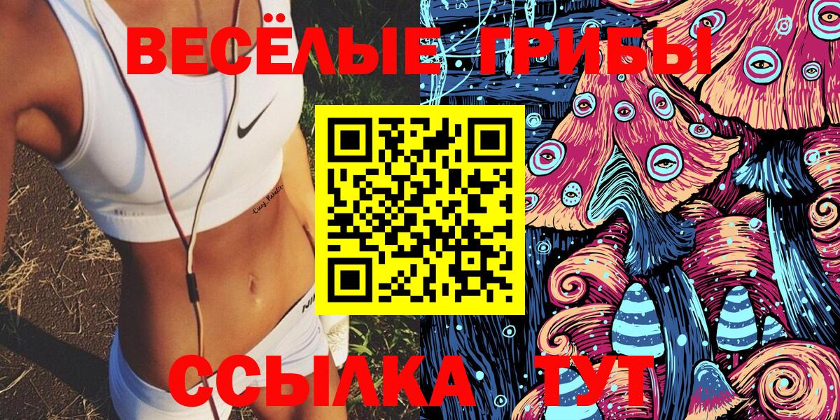 где продают наркотики  Десногорск  Псилоцибиновые грибы Magic Shrooms 